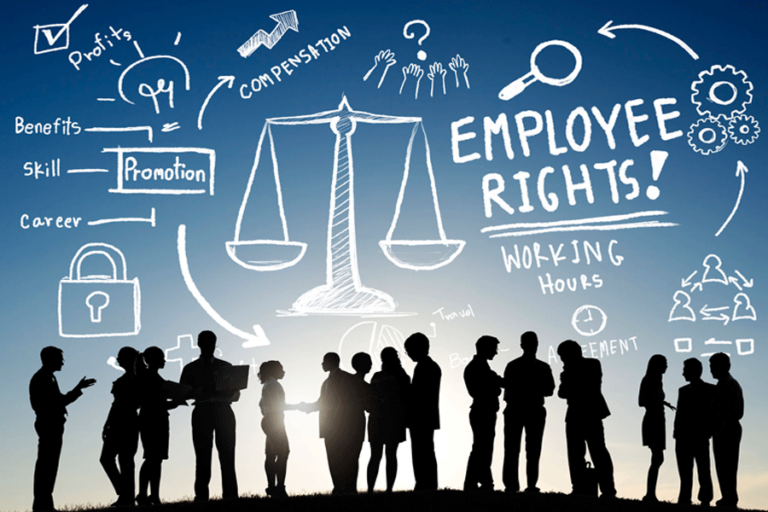 Employment Law 768x512